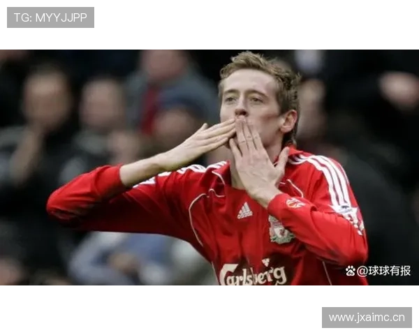 霍奇森执教生涯轨迹：从德甲到英超的漫长职业历程