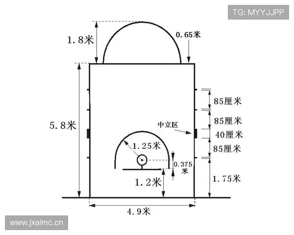 罚球规则NBA与FIBA区别：深入解析两大联盟差异